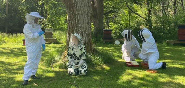 Diskussioner i bigården