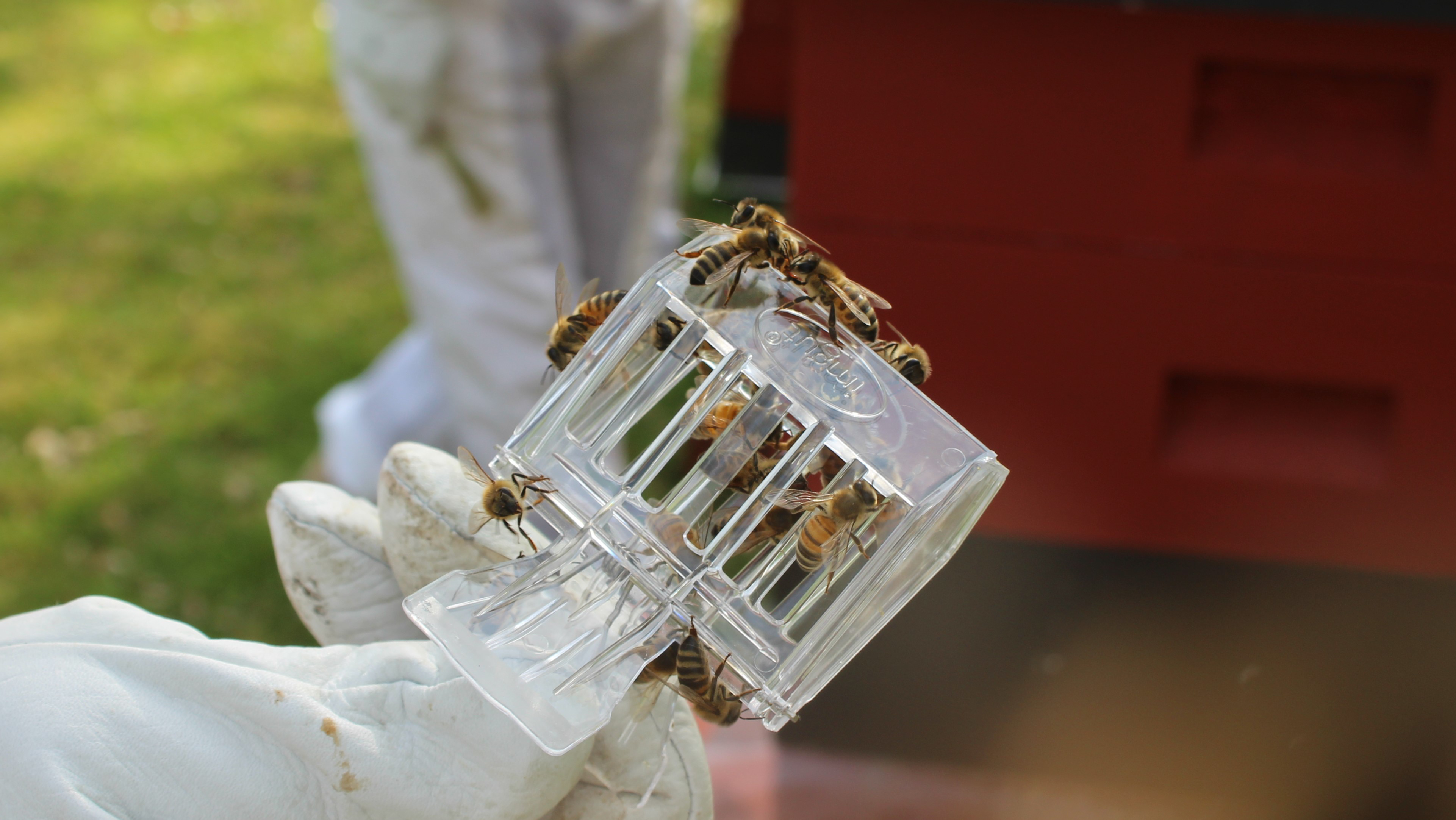 Ingen beskrivning tillgänglig