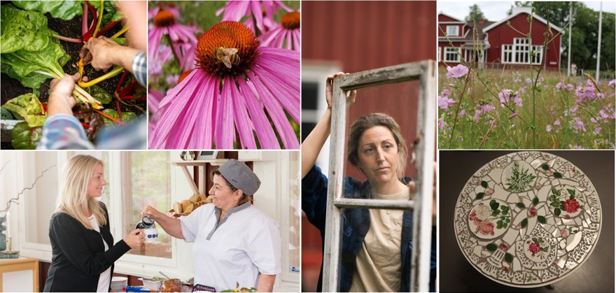Bilder från olika helgkurser